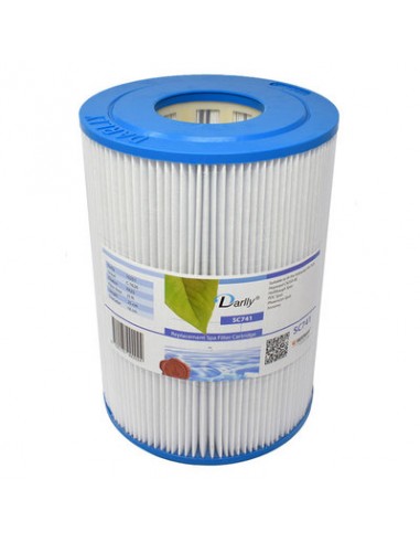 Filtre pour Filtration sous pression Hayward CX250-RE piscine et spas