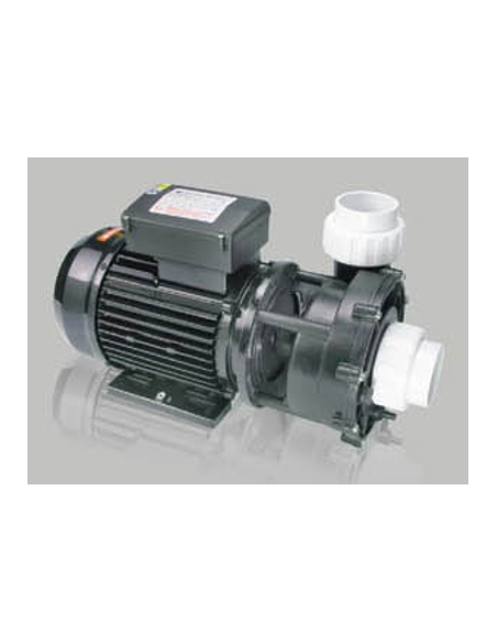 WP250-II 2.5HP bi-vitesse 2022