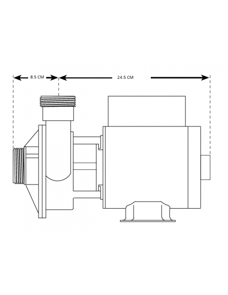 IRON MIGHT Pump Waterway pour spa et baignoire balnéo